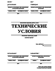 Отказное письмо Копейске Разработка ТУ и другой нормативно-технической документации